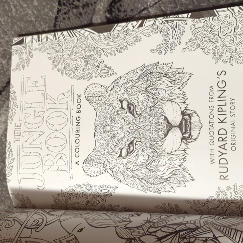 The Jungle Book colouring book new - Picture 11 of 14